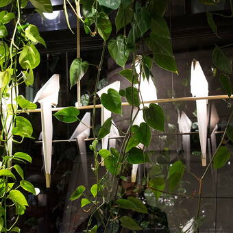 PERCH LIGHT BRANCH