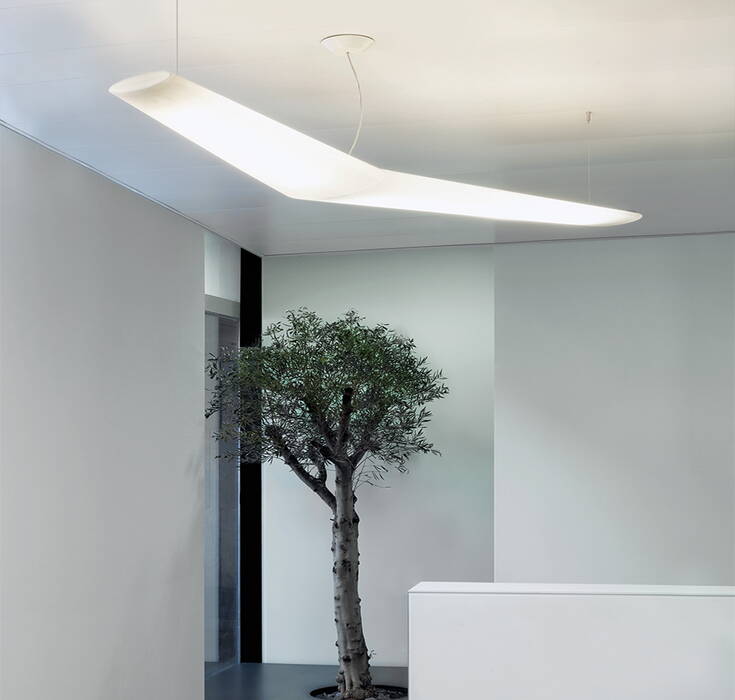 Mouette Asymmetric