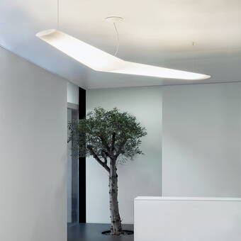 Mouette Asymmetric