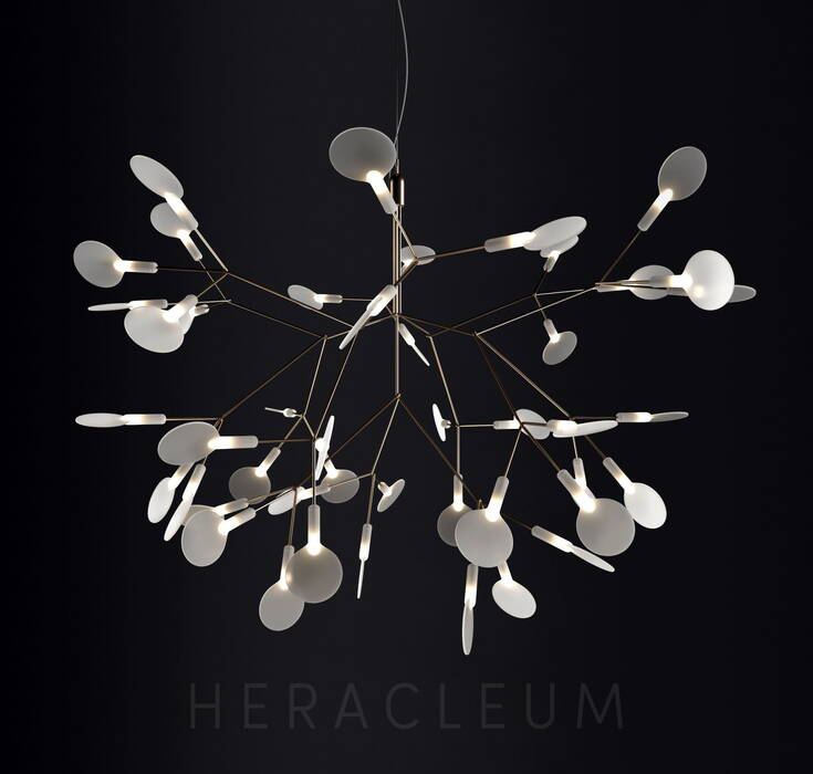 Heracleum III Suspended Small