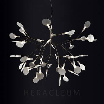 Heracleum III Suspended Small