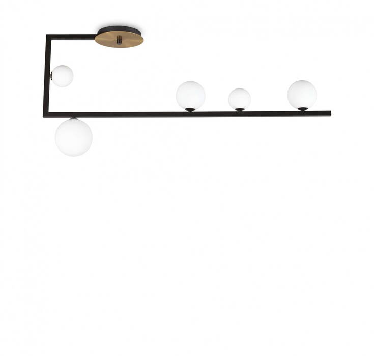 Birds pl5
