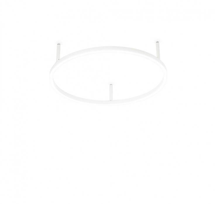 Oracle slim PL