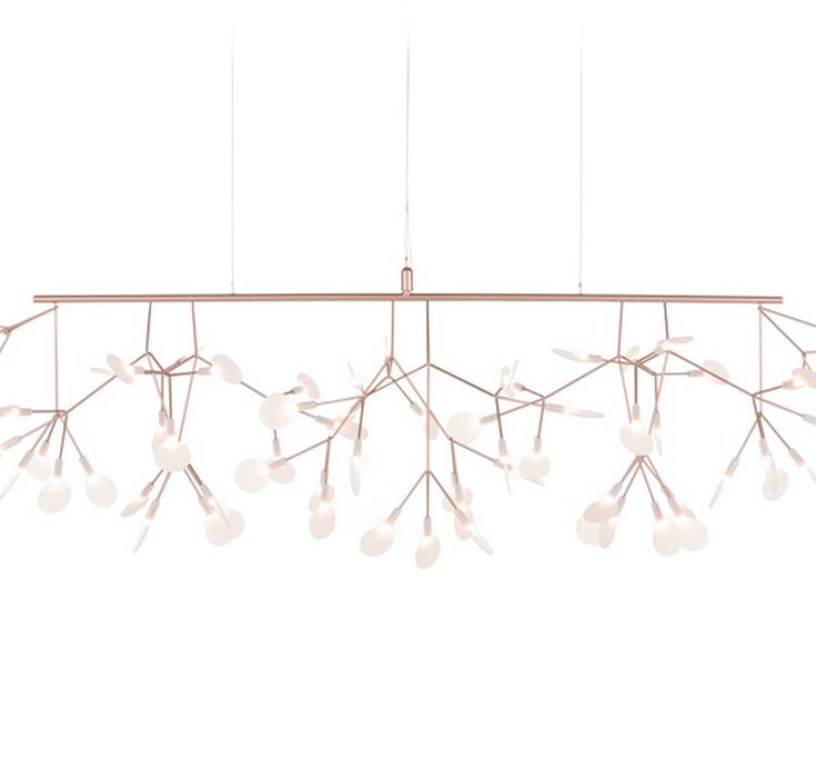 Heracleum III Linear