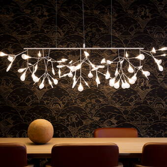 Heracleum III Linear