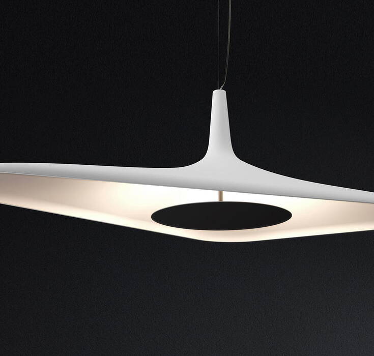  Luceplan Soleil Noir Suspension - organic looking ceiling lamp