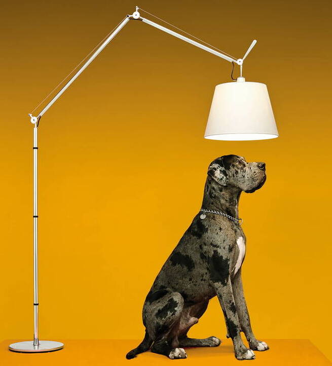 Artemide Lighting in Contemporary Interiors